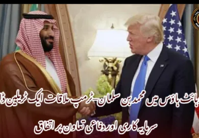 وہائٹ ہاؤس میں محمد بن سلمان–ٹرمپ ملاقات ایک ٹریلین ڈالر سرمایہ کاری اور دفاعی تعاون پر اتفاق