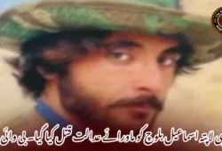 جبری لاپتہ اسماعیل بلوچ کو ماورائے عدالت قتل کیا گیا۔ بی وائی سی