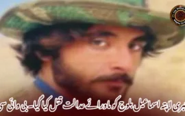 جبری لاپتہ اسماعیل بلوچ کو ماورائے عدالت قتل کیا گیا۔ بی وائی سی