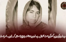 نسرینہ بلوچ کی جبری گمشدگی باعث تشویش ہے، فوری باحفاظت بازیابی کا مطالبہ کرتے ہیں۔ نصراللہ بلوچ