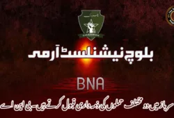 سرباز میں دو مختلف حملوں کی ذمہ داری قبول کرتے ہیں۔ بی این اے