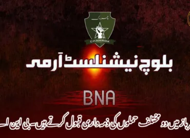 سرباز میں دو مختلف حملوں کی ذمہ داری قبول کرتے ہیں۔ بی این اے