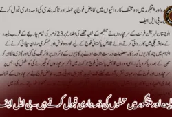 بلیدہ اور پنجگور میں حملوں کی ذمہ داری قبول کرتے ہیں۔ بی ایل ایف