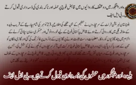 بلیدہ اور پنجگور میں حملوں کی ذمہ داری قبول کرتے ہیں۔ بی ایل ایف