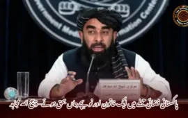 پاکستانی فضائی حملے میں ایک خاتون اور نو بچے جاں بحق ہوئے– ذبیح اللہ مجاہد