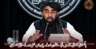 پاکستانی فضائی حملے میں ایک خاتون اور نو بچے جاں بحق ہوئے– ذبیح اللہ مجاہد