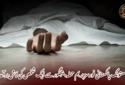 مستونگ پاکستانی فورسز پر بم حملہ، پنجگور سے ایک شخص کی لاش برآمد