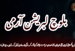 قابض پاکستانی فوج پر آئی ای ڈی حملے اور زیرِ حراست اہلکار کو ہلاک کرنے کی ذمہ داری قبول کرتے ہیں – بی ایل اے