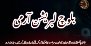 قابض پاکستانی فوج پر آئی ای ڈی حملے اور زیرِ حراست اہلکار کو ہلاک کرنے کی ذمہ داری قبول کرتے ہیں – بی ایل اے