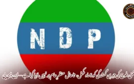 غنی بلوچ کی جبری گمشدگی کو 6 ماہ مکمل،  تاحال منظرِ عام پر نہیں لایا گیا ہے — این ڈی پی