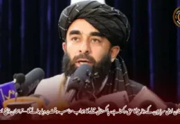 افغانستان اپنی سرزمین کے دفاع کا حق رکھتا ہے، پاکستانی حملے کا جواب مناسب وقت پر دیا جائے گا —ترجمان ذبیح اللہ مجاہد