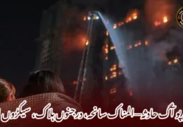 تائی پو آگ حادثہ—المناک سانحہ، درجنوں ہلاک، سیکڑوں لاپتہ