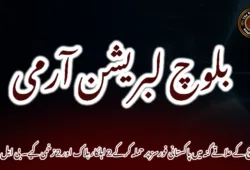 کیچ کے علاقے گنہ میں پاکستانی فورسز پر حملہ کرکے 2 اہلکار ہلاک اور 2 زخمی کیے۔ بی ایل اے