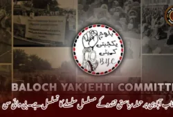 ہوشاب آبادی پر حملہ ریاستی تشدد کے مسلسل سلسلے کا تسلسل ہے۔ بی وائی سی