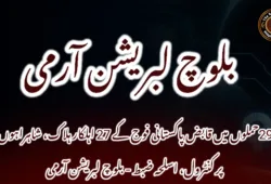 29 حملوں میں قابض پاکستانی فوج کے 27 اہلکار ہلاک، شاہراہوں پر کنٹرول، اسلحہ ضبط – بلوچ لبریشن آرمی