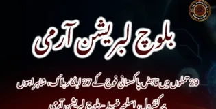 29 حملوں میں قابض پاکستانی فوج کے 27 اہلکار ہلاک، شاہراہوں پر کنٹرول، اسلحہ ضبط – بلوچ لبریشن آرمی