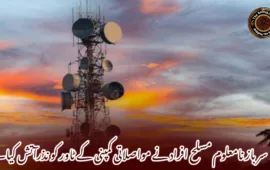 سرباز نامعلوم مسلح افراد نے مواصلاتی کمپنی کے ٹاور کو نذرآتش کیا۔