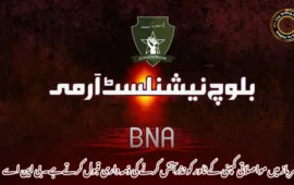 سرباز میں مواصلاتی کمپنی کے ٹاور کو نذرآتش کرنے کی ذمہ داری قبول کرتے ہے۔ بی این اے