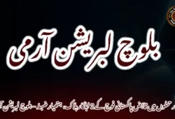 چار حملوں میں قابض پاکستانی فوج کے 2 اہلکار ہلاک، ہتھیار ضبط – بلوچ لبریشن آرمی