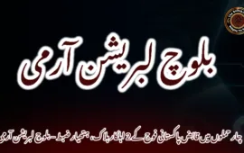 چار حملوں میں قابض پاکستانی فوج کے 2 اہلکار ہلاک، ہتھیار ضبط – بلوچ لبریشن آرمی