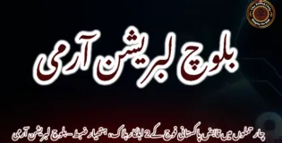 چار حملوں میں قابض پاکستانی فوج کے 2 اہلکار ہلاک، ہتھیار ضبط – بلوچ لبریشن آرمی