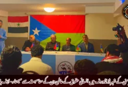 جرمنی کے شہر ڈزلڈورف میں انسانی حقوق کے عالمی دن کے مناسبت سے سیمنار- ایف بی ایم