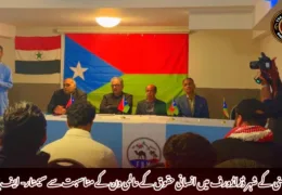 جرمنی کے شہر ڈزلڈورف میں انسانی حقوق کے عالمی دن کے مناسبت سے سیمنار- ایف بی ایم