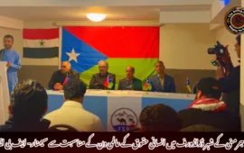 جرمنی کے شہر ڈزلڈورف میں انسانی حقوق کے عالمی دن کے مناسبت سے سیمنار- ایف بی ایم