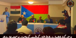 جرمنی کے شہر ڈزلڈورف میں انسانی حقوق کے عالمی دن کے مناسبت سے سیمنار- ایف بی ایم