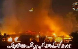 بھارت گوا کے نائٹ کلب میں آگ، 23 افراد ہلاک.