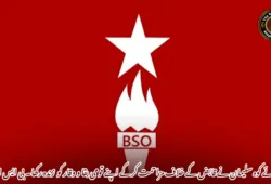 شہدائے کوہ سلیمان نے قابض کے خلاف مزاحمت کرکے اپنے قومی بقا و وقار کو زندہ رکھا۔ بی ایس او آزاد