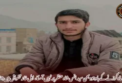 چھ ماہ گزرنے کے باوجود بھی سید انس شاہ منظر پر نہیں آ سکا، اہل خانہ تشویش میں مبتلا۔