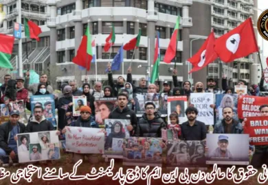 انسانی حقوق کا عالمی دن  بی این ایم کا ڈچ پارلیمنٹ کے سامنے احتجاجی مظاہرہ