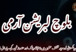 بولان پاکستانی فورسز پر مختلف حملوں میں 2 اہلکار ہلاک اور متعدد زخمی کیے۔ بی ایل اے
