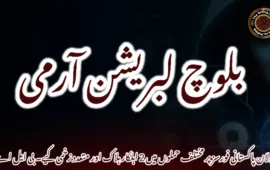 بولان پاکستانی فورسز پر مختلف حملوں میں 2 اہلکار ہلاک اور متعدد زخمی کیے۔ بی ایل اے