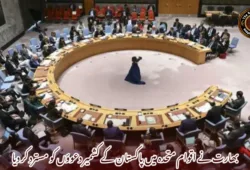 بھارت نے اقوام متحدہ میں پاکستان کے کشمیر دعوؤں کو مسترد کر دیا