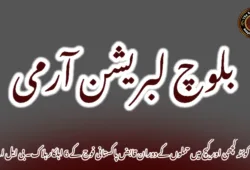 کوئٹہ کچھی اور کیچ میں حملوں کے دوران قابض پاکستانی فوج کے 6 اہلکار ہلاک۔ بی ایل اے