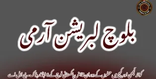 کوئٹہ کچھی اور کیچ میں حملوں کے دوران قابض پاکستانی فوج کے 6 اہلکار ہلاک۔ بی ایل اے