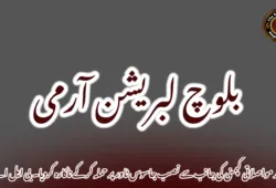 مند مواصلاتی کپمنی کی جانب سے نصب جاسوس ٹاور پر حملہ کرکے ناکارہ کردیا۔ بی ایل اے