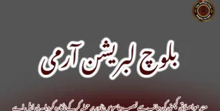 مند مواصلاتی کپمنی کی جانب سے نصب جاسوس ٹاور پر حملہ کرکے ناکارہ کردیا۔ بی ایل اے