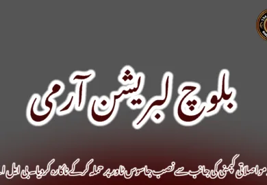 مند مواصلاتی کپمنی کی جانب سے نصب جاسوس ٹاور پر حملہ کرکے ناکارہ کردیا۔ بی ایل اے