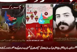 بلوچ نیشنلسٹ آرمی نے اپنے آفیشل میڈیا چینل چمروک پر سال 2025  کی مسلح کاروائیوں کی تفصیلی رپورٹ جاری کی،52 مختلف نوعیت کے حملے شامل ہے۔