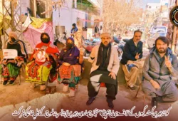 کوئٹہ جبری گمشدگیوں کے خلاف وی بی ایم پی کا احتجاج جاری، جبری لاپتہ نسرینہ بلوچ کے اہلِ خانہ کی شرکت