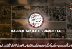 ماہل بلوچ کی جھوٹے کیس میں بریت ریاست کی جبری گمشدگی کی پالیسی اور متاثرین کی میڈیا ٹرائل اور جھوٹے الزامات کی حقیقت کو واضح کرتی ہے۔بلوچ یکجہتی کمیٹی