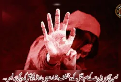 نصیرآباد میں غیر ت کے نام پر قتل کے دو مختلف واقعات میں چار افراد کو قتل کردیا گیا، پولیس۔