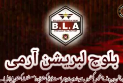 آپریشن ہیروف پینتیس گھنٹوں سے جاری، زیرِ حراست ڈپٹی کمشنر اور اسسٹنٹ کمشنر رہا – بی ایل اے