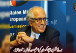 زلمے خلیل زاد کا پاکستان کی داخلی صورتحال پر سخت انتباہ