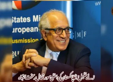 زلمے خلیل زاد کا پاکستان کی داخلی صورتحال پر سخت انتباہ