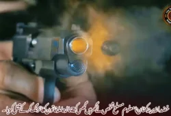 خضدار زیرینہ کھٹان نامعلوم مسلح شخص نے گھر میں گھس کر 22 سالہ حاملہ خاتون کو فائرنگ کرکے قتل کر دیا۔