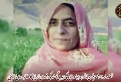 خضدار سے معمر بلوچ خاتون حیات بی بی کی جبری گمشدگی، فوری بازیابی کا مطالبہ-‏وی بی ایم پی